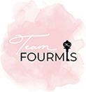 Team Fourmis