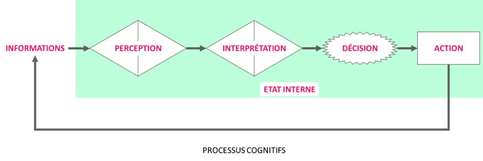 processus cognitif