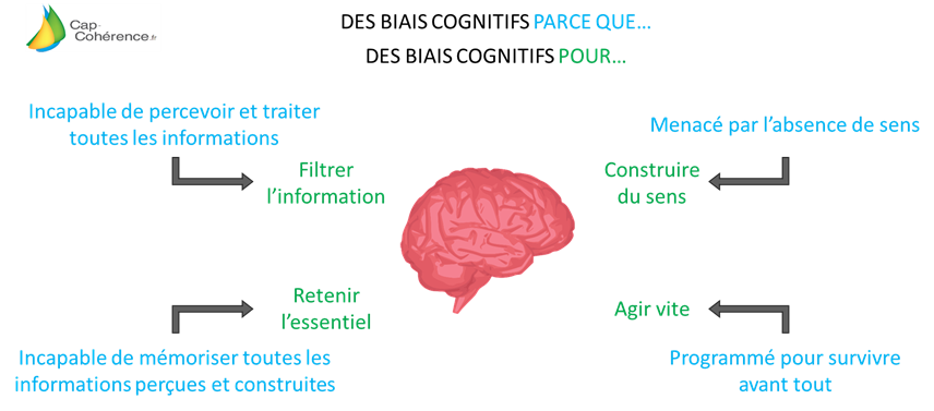 biais cognitifs pourquoi