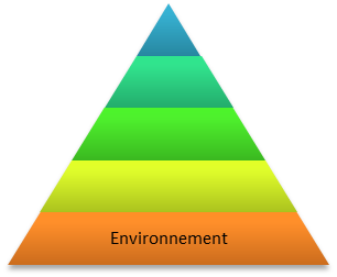 Niveau Logique Environnement