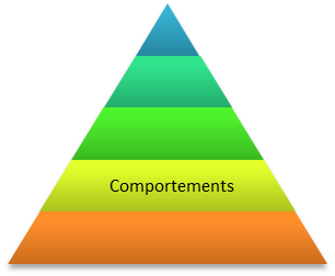 Niveau Logique Comportement