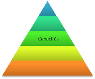 Niveau Logique Capacités