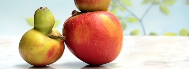 Thumb fruit 741167 640