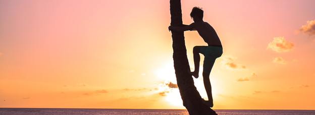 Thumb silhouette of person on coconut tree 2889492